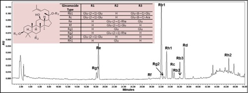 Figure 1. HPLC profile of ginsenosides in HerbEx Korean Ginseng Extract