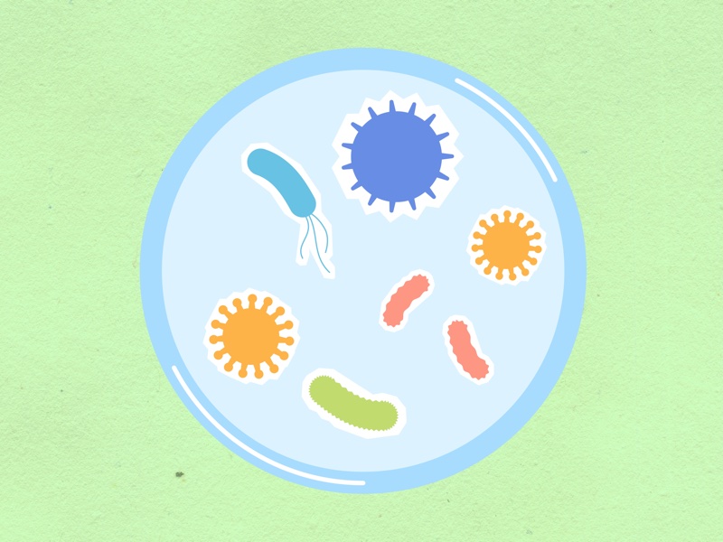 <i>The microbiome is the sum of all microorganisms that live in a defined space</i>
