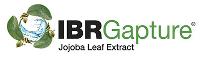 IBR\'s 2013-2014 NEW innovations