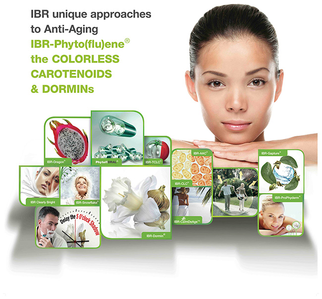 IBR\'s 2013-2014 NEW innovations