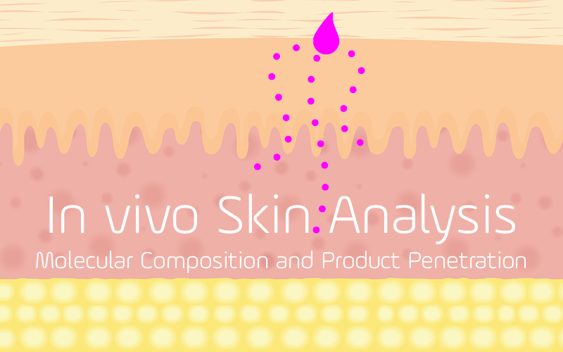 In vivo analysis of the skin: Molecular composition and product penetration