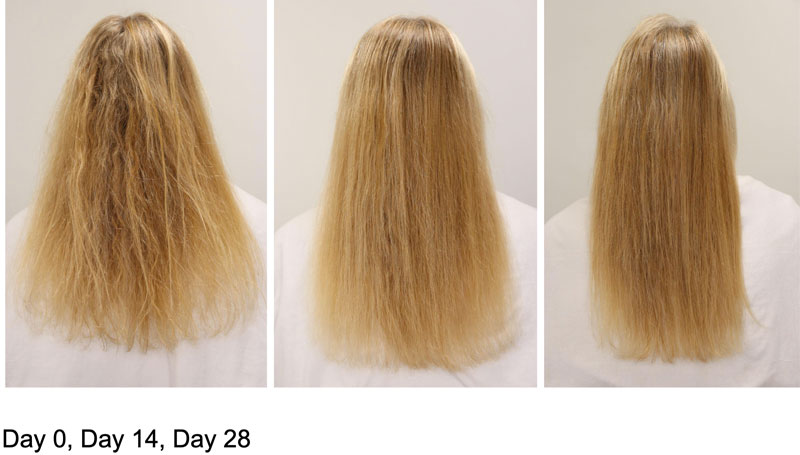 INdermal introduces Vegan HDS Core Repair