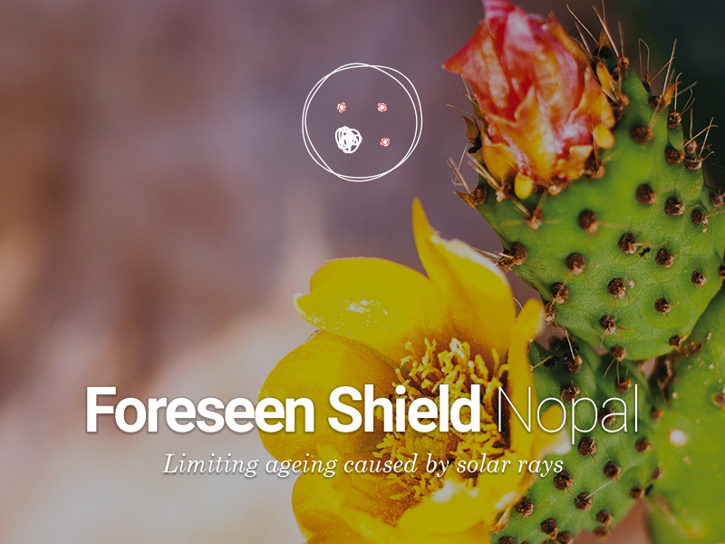 Introducing Foreseen Shield Nopal active cells: Your Shield Against Photoaging