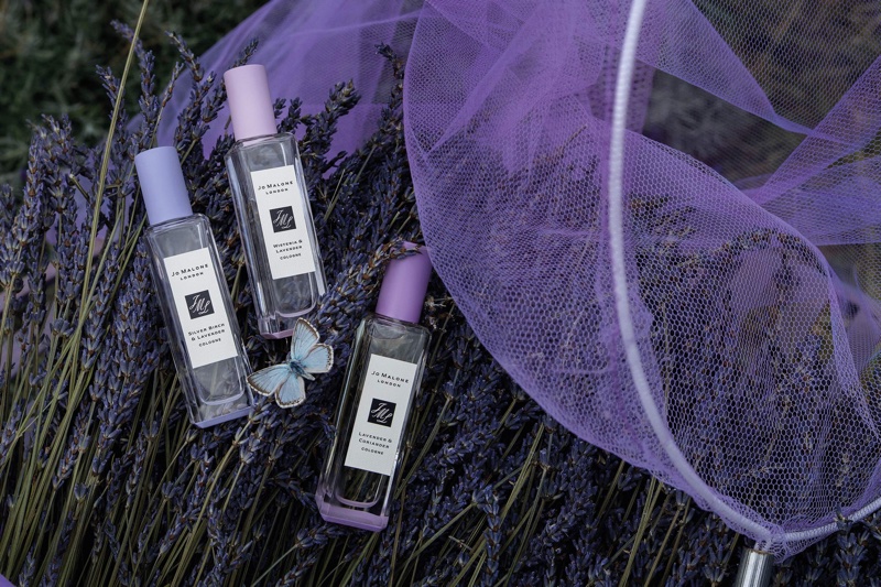 Jo Malone celebrates English lavender with new collection 
