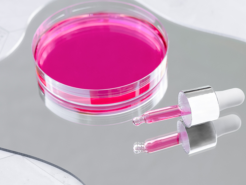 Lady Purple: Award winning upcycled microalgae