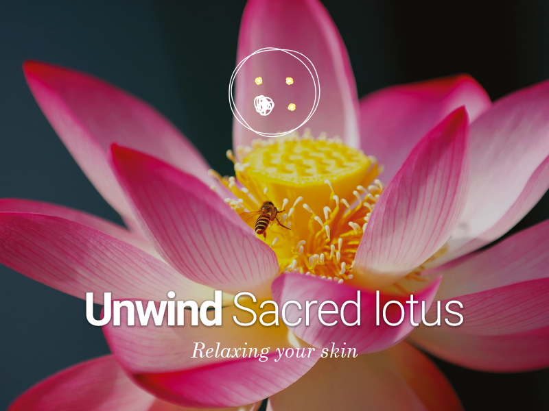 Naolys introduces Unwind Sacred lotus and Serene Skin Sage