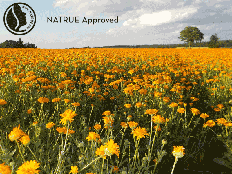 NATRUE approval of FLAVEX's CO2 extracts