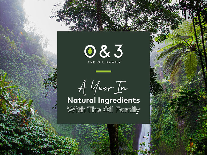 O&3 – A year in natural ingredients with the oil family