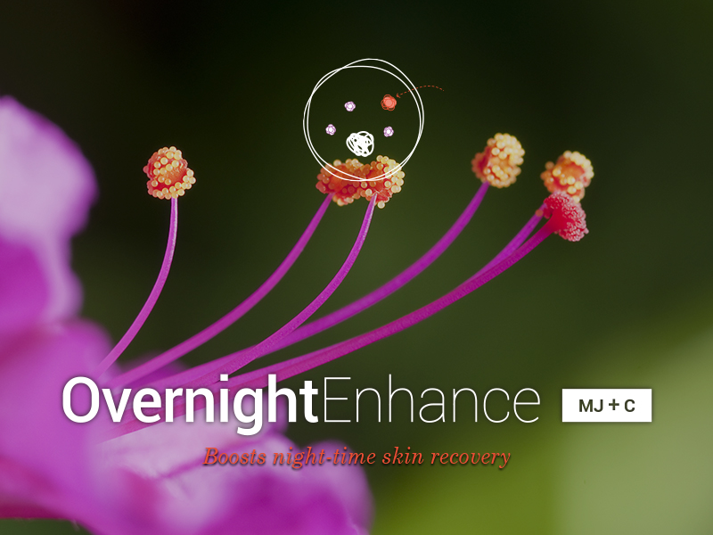 Overnight Enhance [MJ+C] to boost night-time skin recovery
