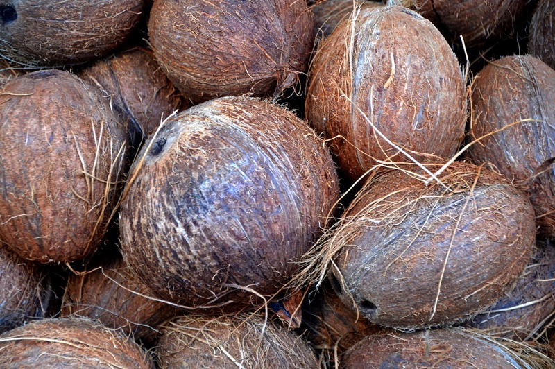 P&G, BASF and Cargill put support behind coconut farmers to boost transparency  
