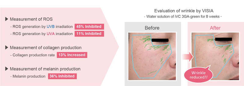 SEIWA launches iVC 3GA-green, a 100% plant-derived sustainable anti-ageing vitamin