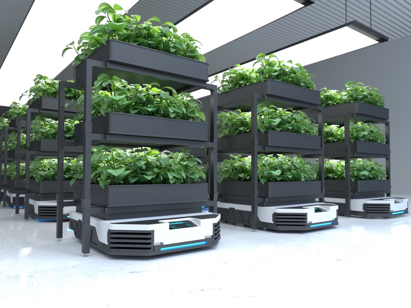 Seppic and Botalys will use vertical farming to avoid intensive cultivation methods (Image: User 6702303 on Freepik)