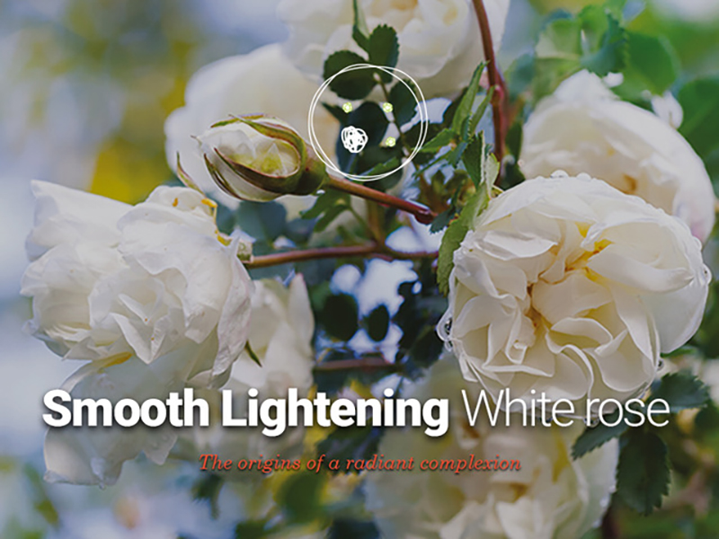 Smooth Lightening White rose, for an overall radiance