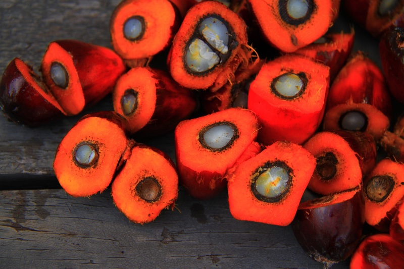 Understanding the issues surrounding sustainable palm oil in cosmetics