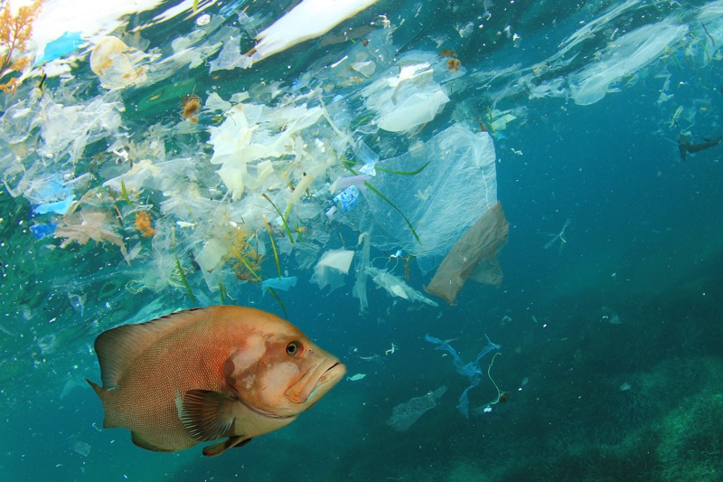World Oceans Day: Top 9 plastic waste brand campaigns of 2019