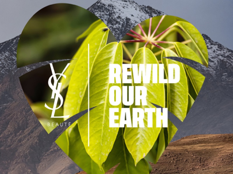 YSL Beauty's sustainability plans have been launched with Re:Wild