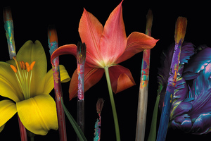 Artistas Diversos and Provital: The art of caring
