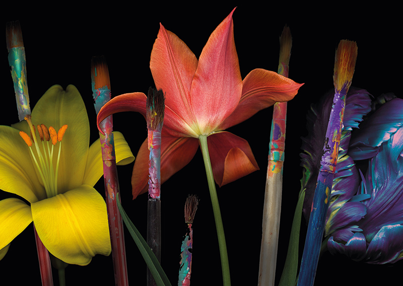 Artistas Diversos and Provital: The art of caring
