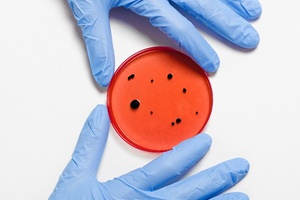 Arxada and Troy merge to create microbial control powerhouse 
