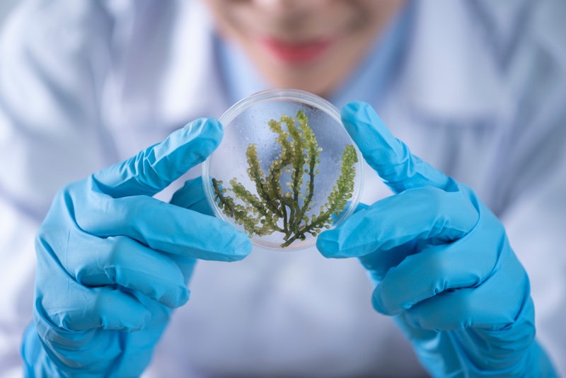 Arxada completes first-ever merger deal since split from Lonza Group 