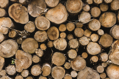 Asian cosmetic companies face sustainability issues