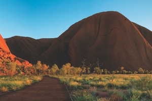 Australia, New Zealand and Pacific Island beauty brands capitalise on indigenous ingredients