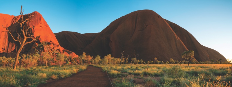 Australia, New Zealand and Pacific Island beauty brands capitalise on indigenous ingredients