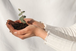 B Corps form coalition to boost responsible beauty 

