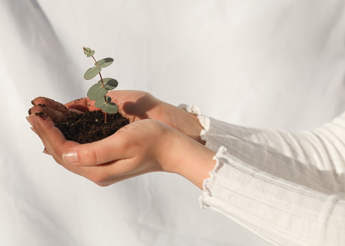 B Corps form coalition to boost responsible beauty 
