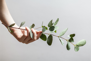 Bakuchiol rivals leading anti-ageing skin care ingredient retinol
