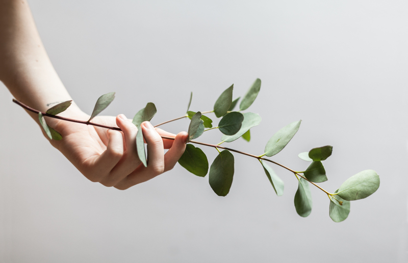 Bakuchiol rivals leading anti-ageing skin care ingredient retinol