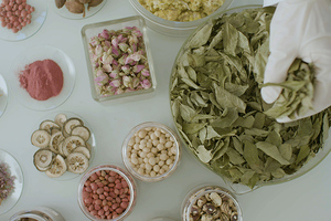 BASF and Mazza Innovation team up on new technology for plant extracts