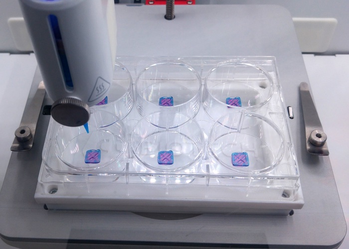 BASF collaborates on bioprinted skin that’s ‘in line with human physiology’