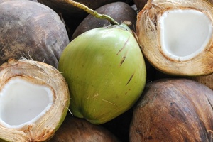 BASF first to offer Rainforest Alliance certified ingredients from coconut oil 
