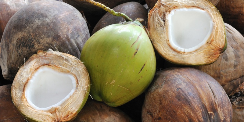 BASF first to offer Rainforest Alliance certified ingredients from coconut oil 
