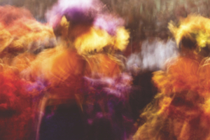 BASF predicts top colour trends