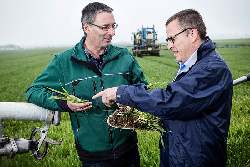 BASF submits regulatory dossiers for two new herbicide active ingredients