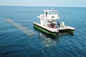 BASF taps red seaweed with new investment 
