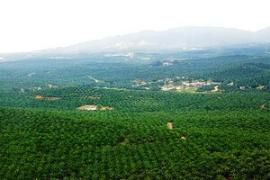 BASF, The Estée Lauder Companies, RSPO and Solidaridad support Enhanced Sustainable Palm Oil Production in Lampung, Indonesia