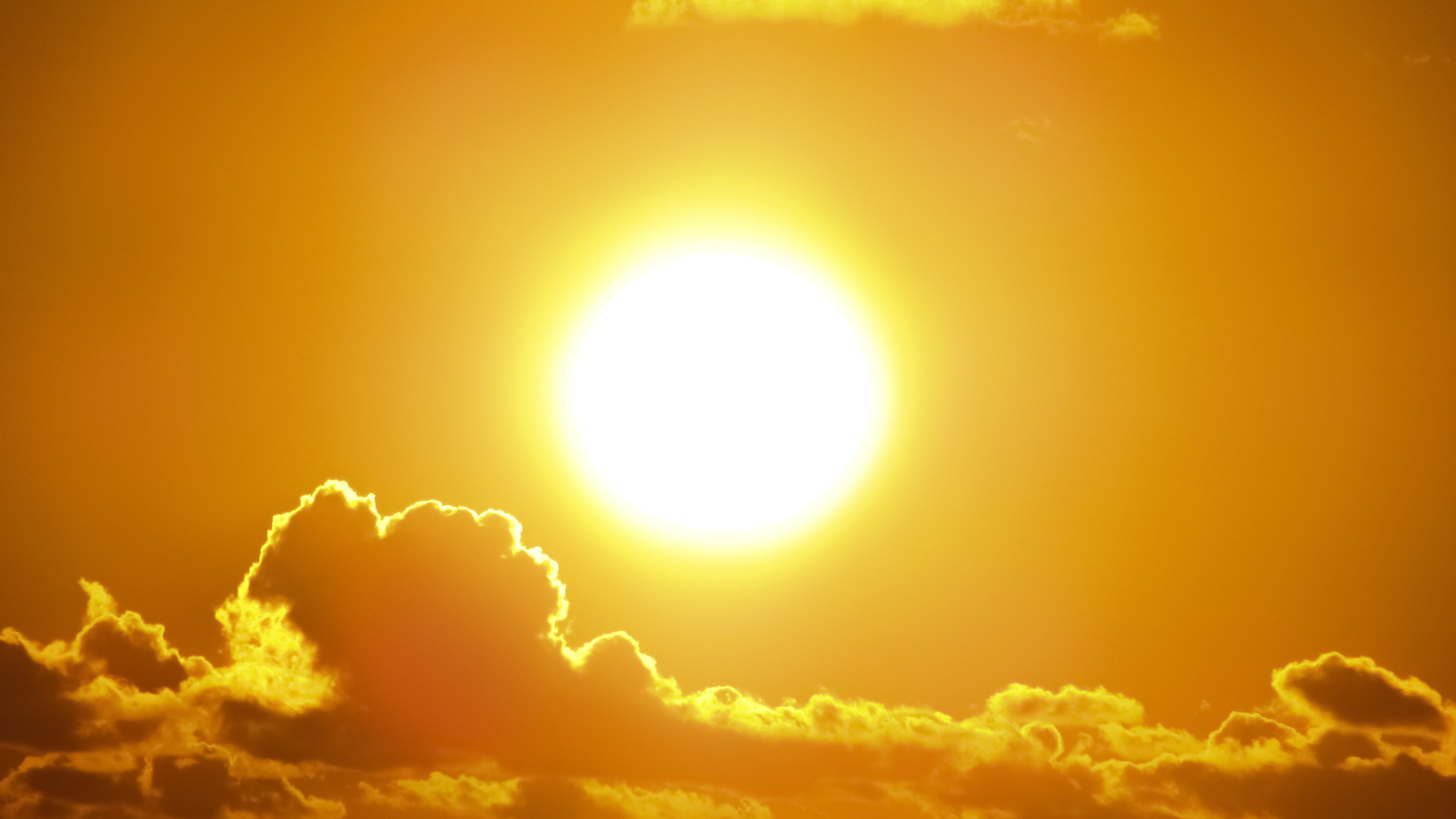 BASF upgrades Sunscreen Simulator 
