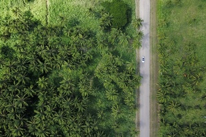 Beauty branded one of most eco-conscious sectors in 2020 