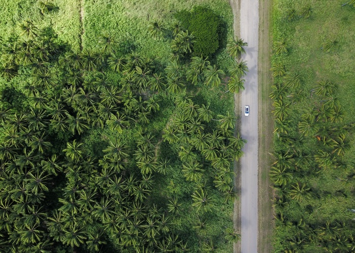 Beauty branded one of most eco-conscious sectors in 2020 