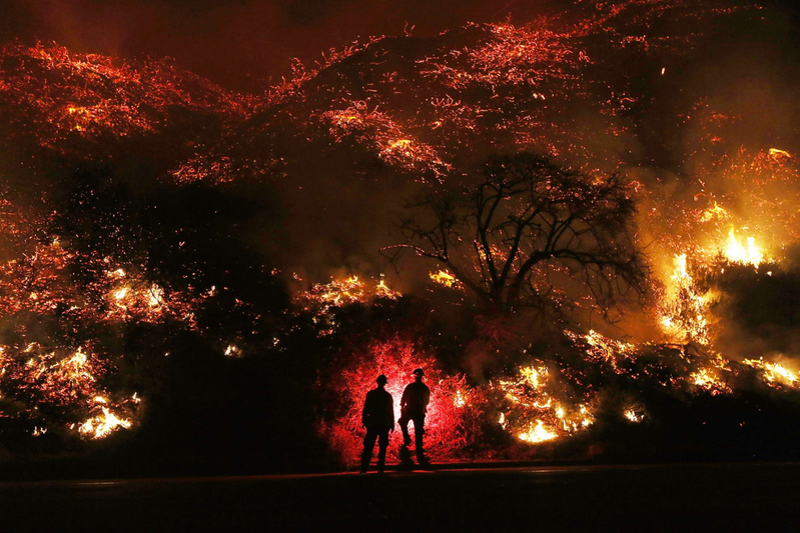Beauty brands donate to California's wildfire relief efforts 