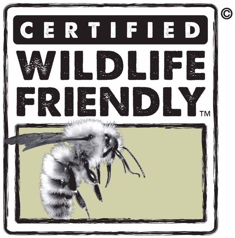 Beauty’s seal of approval: The latest eco-certifications providing a framework for beauty businesses 