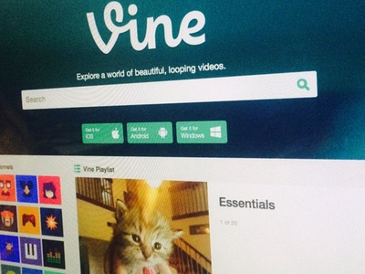 Beauty waves goodbye to Vine as closure announced