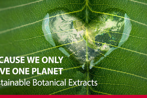 Bell EMEA presents botanical extracts for environmentally friendly products
