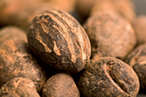 Berg + Schmidt offers fairtrade shea butter