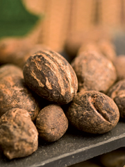 Berg + Schmidt offers fairtrade shea butter