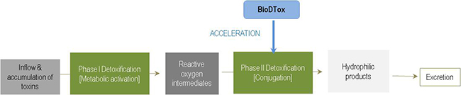 BioDTox – A Skin Relaxer by Detoxification
