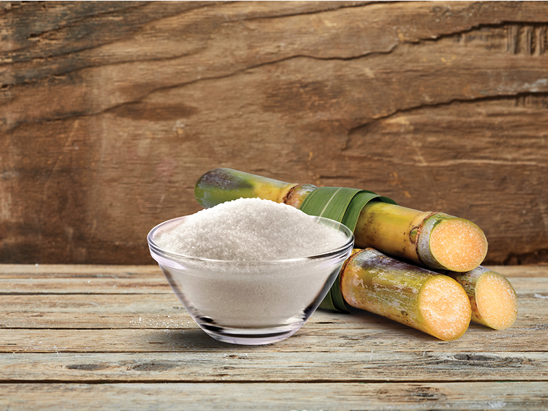 Biome friendly, natural prebiotic fiber with cross action activities